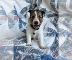 Image preview for Ad Listing. Nickname: Aspen