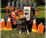 Image preview for Ad Listing. Nickname: Kendal