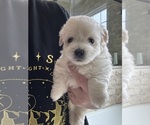 Image preview for Ad Listing. Nickname: Boy 3