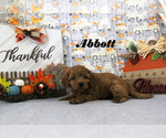 Image preview for Ad Listing. Nickname: Abbott