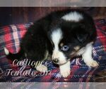 Image preview for Ad Listing. Nickname: Calliope