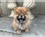 Image preview for Ad Listing. Nickname: Celestial
