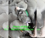 Image preview for Ad Listing. Nickname: Green Male