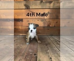 Image preview for Ad Listing. Nickname: 4th Male