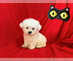 Image preview for Ad Listing. Nickname: TOM