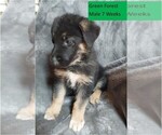 Small #2 German Shepherd Dog