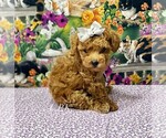 Image preview for Ad Listing. Nickname: Tiny Daisy fema