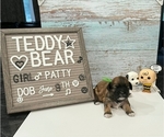 Image preview for Ad Listing. Nickname: Litter of 8