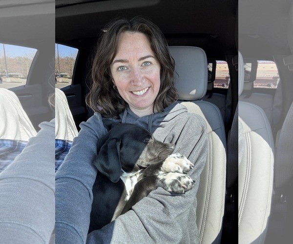 Medium Photo #3 Mutt Puppy For Sale in Woodbury, NY, USA