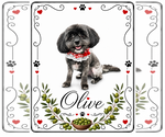 Small Shih Tzu Mix