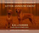 Small #1 Rhodesian Ridgeback