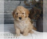 Image preview for Ad Listing. Nickname: Mandy