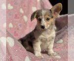 Image preview for Ad Listing. Nickname: Jasmine
