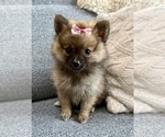 Image preview for Ad Listing. Nickname: Daisy