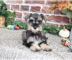 Image preview for Ad Listing. Nickname: Sandy