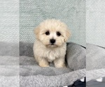 Image preview for Ad Listing. Nickname: Mia