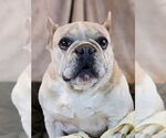 Small #2 Breeder Profile image