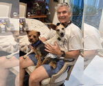 Small #5 Jack Russell Terrier