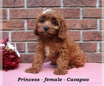 Image preview for Ad Listing. Nickname: Princess
