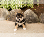 Image preview for Ad Listing. Nickname: Malanie
