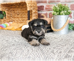 Image preview for Ad Listing. Nickname: Zahara