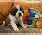 Image preview for Ad Listing. Nickname: Mitzi
