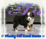 Image preview for Ad Listing. Nickname: Trek