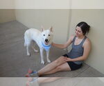 Small #2 Huskies  Mix