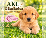 Image preview for Ad Listing. Nickname: Kiara