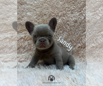 Image preview for Ad Listing. Nickname: Sandy