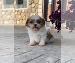 Image preview for Ad Listing. Nickname: Star