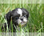 Image preview for Ad Listing. Nickname: Darla