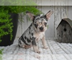 Image preview for Ad Listing. Nickname: Faith