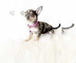 Image preview for Ad Listing. Nickname: Cali