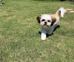 Image preview for Ad Listing. Nickname: Charlie