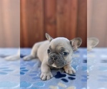 Image preview for Ad Listing. Nickname: Abby