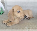 Image preview for Ad Listing. Nickname: Silver