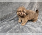 Image preview for Ad Listing. Nickname: Nipper