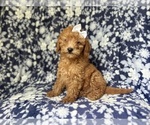 Image preview for Ad Listing. Nickname: Karma