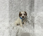Image preview for Ad Listing. Nickname: Ryan