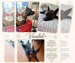 Small #2 American Staffordshire Terrier Mix