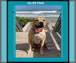 Small #2 Breeder Profile image