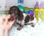 Image preview for Ad Listing. Nickname: Nathan