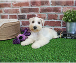 Image preview for Ad Listing. Nickname: Celeste