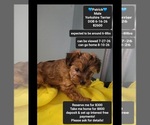 Image preview for Ad Listing. Nickname: Patrick