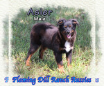 Image preview for Ad Listing. Nickname: Asier