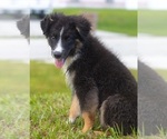 Image preview for Ad Listing. Nickname: Little boy