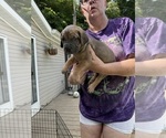 Image preview for Ad Listing. Nickname: Jamie Lee