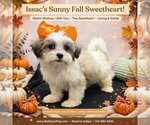 Image preview for Ad Listing. Nickname: Issac