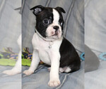 Image preview for Ad Listing. Nickname: Luca
